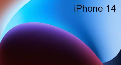 iPhone 14